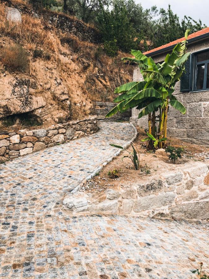 Bed and Breakfast Quinta Do Fojo Valonguinho, Barro Barro  Esterno foto
